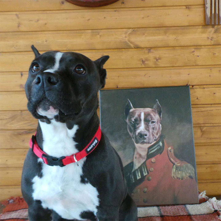 Foto su tela Pet Portrait_4 - 75x90 cm