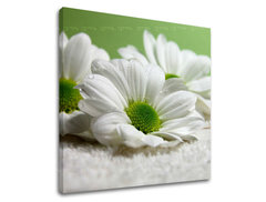 Pittura murale FIORI 30x30 cm